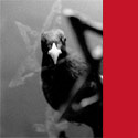 Fotogalerie: Vogelschutzwarte Seebach