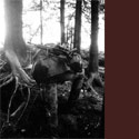 Fotogalerie: LL/LTS Einzelkämpfer- und Tarnlehrgang